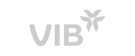ViB