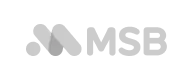 msb