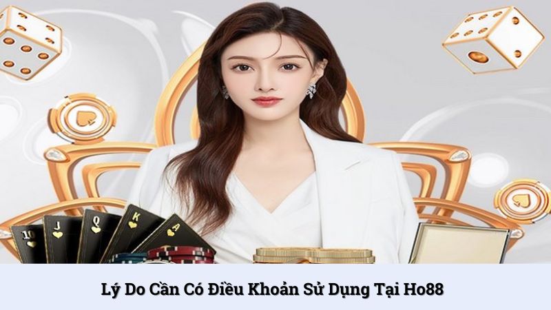Lý do cần có điều khoản sử dụng Ho88